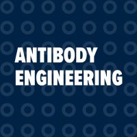 Antibody Engineering(@AntibodyEngIC) 's Twitter Profileg