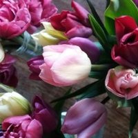 Thistledown Flowers (@teamthistledown) 's Twitter Profile