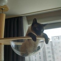 Brandon (@woo11386) 's Twitter Profile Photo