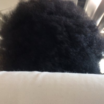 トータルテンボスが好きで、ひょんなことから何気なくライブを観に行ったらとてつもなくどハマりしちゃったよーテッテレーです