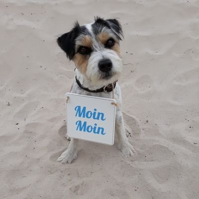 Gelernter Gärtner, Heimatverbunden, Frauennichtversteher, Hundedompteur, Urlaubsmuffel, Selbstversorgergarten Anwärter,