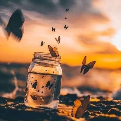 AHpScSC8dcjsKCv's profile picture. 