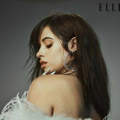 a group composed of artists from all around the world to make artwork dedicated to @camila_cabello 🖤