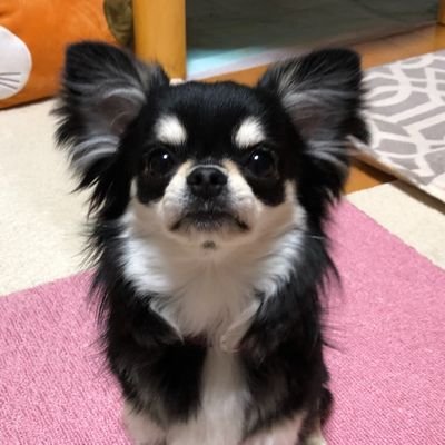 しーま タカラダニとゆーものを見つけてしまって 一気に眠気覚めた もう安眠できない T T 害はないらしいけど いると思うだけで不快 この時期大量発生するんだって 超不快 痒い ファブリーズ巻き散らそう