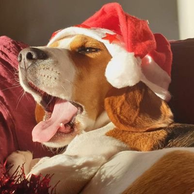 SpatiumI's profile picture. 😊