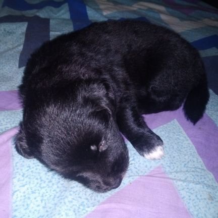 Anilkaturi2's profile picture. 