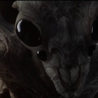 1737_c's profile picture. Q⚍ᒷᒷリ ⎓𝙹∷ᒲ╎ᓵ. M𝙹ℸ ̣ ⍑ᒷ∷ 𝙹⎓ 1737