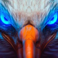 RoyalEagle®️(@EagleEyeStar) 's Twitter Profile Photo