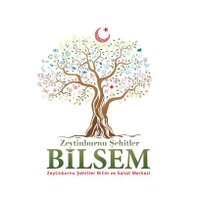 ZEYTİNBURNU BİLSEM (@zburnubilsem) Twitter profile photo
