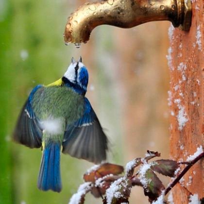 VishnuP32278345's profile picture. 