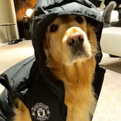 OhTeekew's profile picture. 15/ Competitive Fortnite player/ Duo: @Nikofishy player coach for @EvokeHQ controller @TeekewFN was suspended at 475 ):