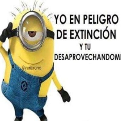 ManuelCamher's profile picture. 