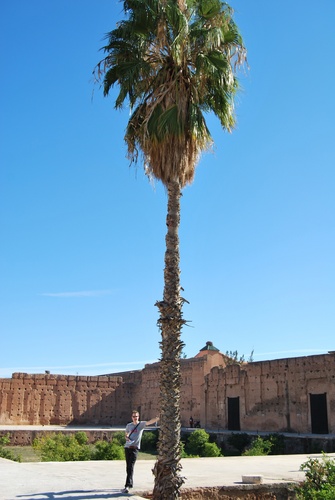 JordyJacobs's profile picture. Student Communication & Multimedia Design | 3rd year | Entrepreneur | Designer | Always looking for new challenges |