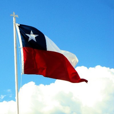 chile_atento's profile picture. #YoRechazo nueva constitución...