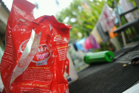 tiiarax's profile picture. I love reading&talking,I like spaghetti&pizza very much dude!:) love twitter♥