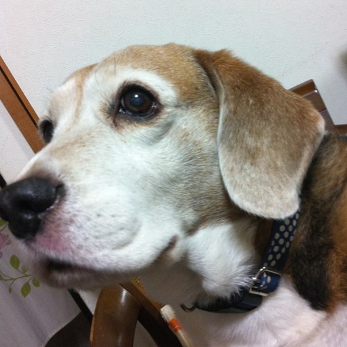 YOUsdbb's profile picture. 2015.11.13更新。今年度より転職。新たな業種へ飛び込む。でも職種は変わらず技術系。転職初めて。転職マスターではない。2015.9.1更新。建築の仕事をしてましたが、気持ち新たに土木系の職に就きました。しがない日常をブツブツ言ってます、。