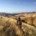 CA Rangeland Coalition (@carangeland) Twitter profile photo CA Rangeland Coalition (@carangeland) Twitter profile photo