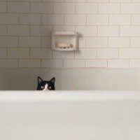 ◅◅ひら◅◅ (@hira06mi) 's Twitter Profile Photo