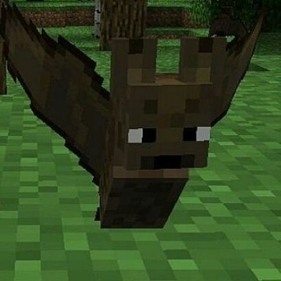 Hi I'm a Bat from Minecraft ! (Not affiliated with @Mojang) |