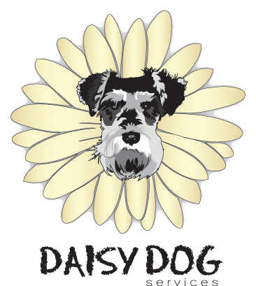 DaisyDogService's profile picture. a Dog Walking Service for Downtown Toronto