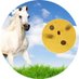 Horse-Parasite Research Project (@horseparasitesr) Twitter profile photo Horse-Parasite Research Project (@horseparasitesr) Twitter profile photo