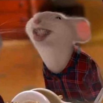 monkey_buff's profile picture. Oh yea it’s big bran time