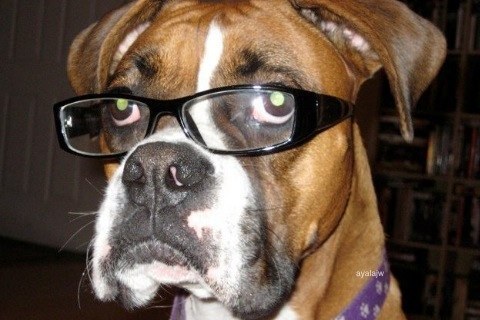 Ayalajw's profile picture. ask