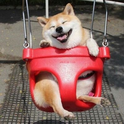 ブロック推奨