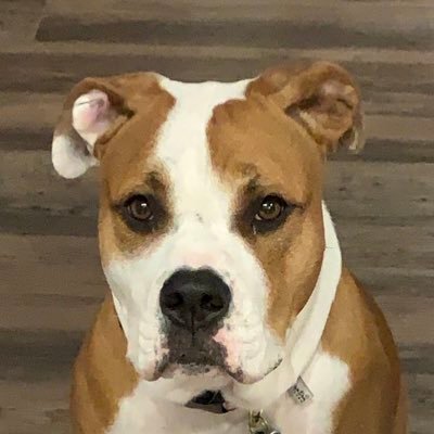 MadiganLights's profile picture. ASU Cybersecurity major. Interested in all things Computer Science. Advocate for Open Source Technology and positive change. Seeking Government work in the NSA.