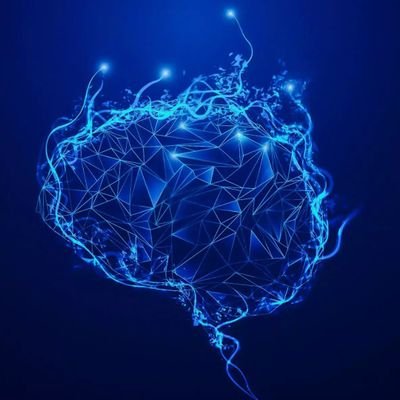 DjamelE09856247's profile picture. 