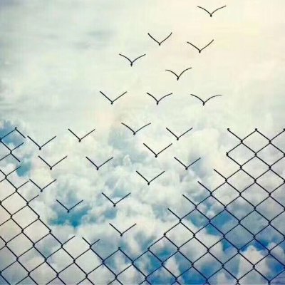 MobilEKG's profile picture. 