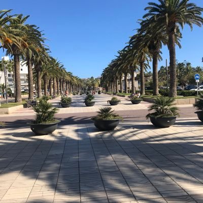 Alfonso38137261's profile picture. 