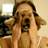 kimsaeeun's profile image
