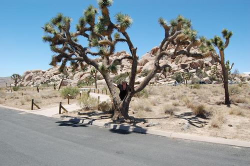 Jessicaspier's profile picture. 