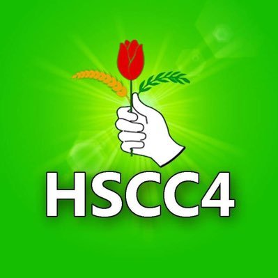Hscc4's profile picture. 