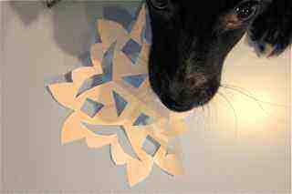 geraldinelilly's profile picture. Curator by day, blogging about the art of living resourcefully, beautifully by night.