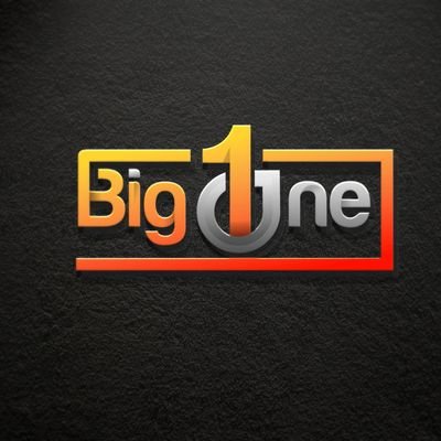 BigOne Pro Profile
