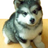 gediasm's profile image