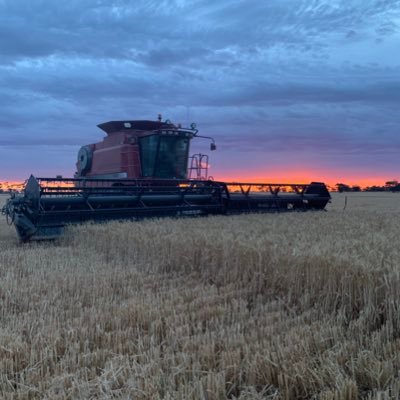 Large scale Free range egg farmer and dry land cropping. Watchem VIC