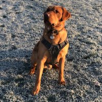 Pauline Carr (@paulinecarr2610) 's Twitter Profile