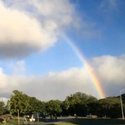 虹色さんのプロフィール画像