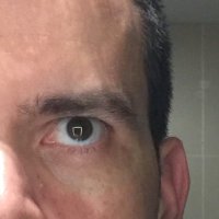 Paco Pujol (@bigpacopujol) 's Twitter Profile