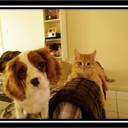 Jane Dickinson - @missjane_ - Twitter