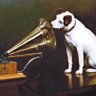 vineetgarg58's profile picture. His Masters Voice . Senior Cricket Commentator, Sports Broadcaster. Tweets Soul Love Spirit and Faith to Awakening .