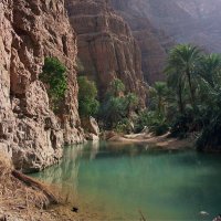 Amna Al Futaisi (@afutaisi) Twitter profile photo