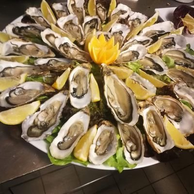 Fortunstocomme1's profile picture. Internationaler Handler.