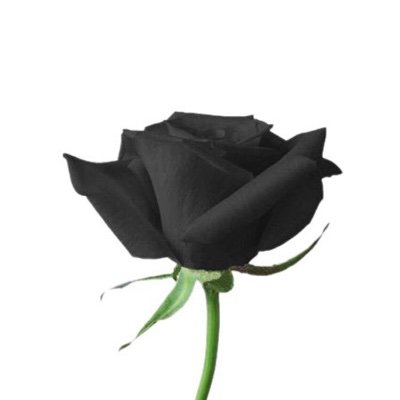 Helping you improve your BDSM relationships! Over 10,000 students. Featured in Cosmo, GQ, InStyle, and more.
