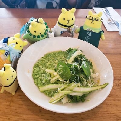 やんさんのプロフィール画像