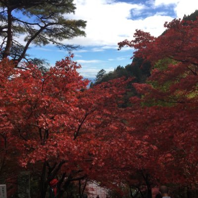 aOMuW921Pxr5VZ0's profile picture. 