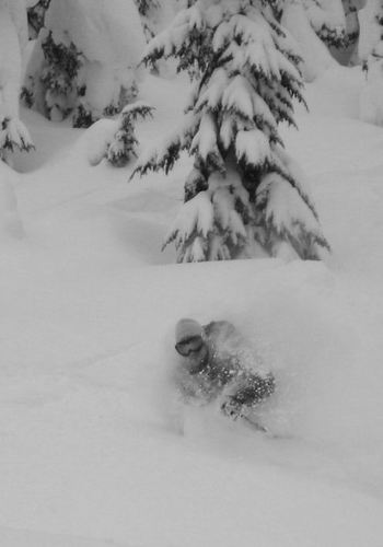 davegauthier's profile picture. 